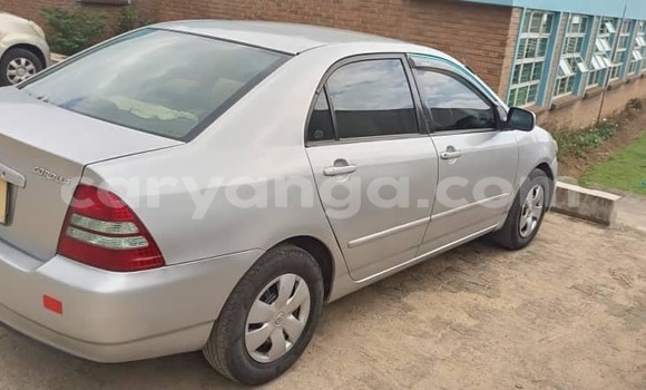 Nunua Ilio tumika Toyota Corolla Silver Gari ndani ya Blantyre nchini Malawi Nunua Ilio tumika Toyota Corolla Silver Gari ndani ya Blantyre nchini Malawi