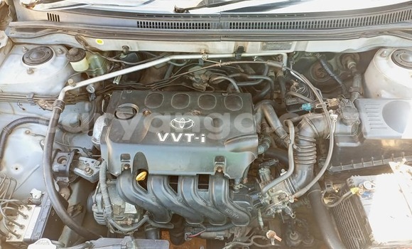 Nunua Ilio tumika Toyota Corolla Silver Gari ndani ya Blantyre nchini Malawi Nunua Ilio tumika Toyota Corolla Silver Gari ndani ya Blantyre nchini Malawi