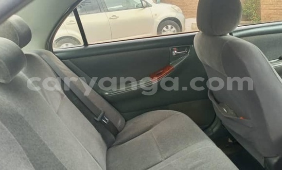 Nunua Ilio tumika Toyota Corolla Silver Gari ndani ya Blantyre nchini Malawi Nunua Ilio tumika Toyota Corolla Silver Gari ndani ya Blantyre nchini Malawi