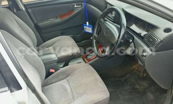 Nunua Ilio tumika Toyota Corolla Silver Gari ndani ya Blantyre nchini Malawi Nunua Ilio tumika Toyota Corolla Silver Gari ndani ya Blantyre nchini Malawi