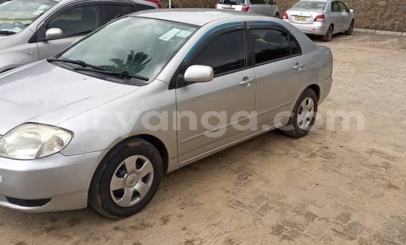Nunua Ilio tumika Toyota Corolla Silver Gari ndani ya Blantyre nchini Malawi Nunua Ilio tumika Toyota Corolla Silver Gari ndani ya Blantyre nchini Malawi