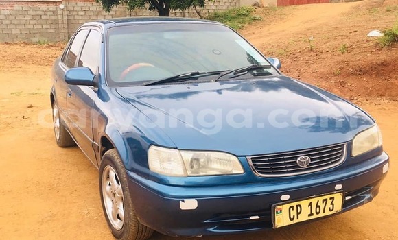 Nunua Ilio tumika Toyota Corolla Blue Gari ndani ya Blantyre nchini Malawi Nunua Ilio tumika Toyota Corolla Blue Gari ndani ya Blantyre nchini Malawi