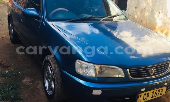 Nunua Ilio tumika Toyota Corolla Blue Gari ndani ya Blantyre nchini Malawi Nunua Ilio tumika Toyota Corolla Blue Gari ndani ya Blantyre nchini Malawi
