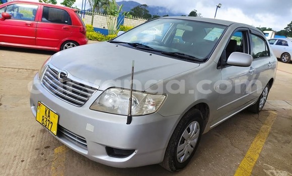 Nunua Ilio tumika Toyota Corolla Silver Gari ndani ya Blantyre nchini Malawi Nunua Ilio tumika Toyota Corolla Silver Gari ndani ya Blantyre nchini Malawi