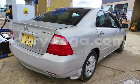 Nunua Ilio tumika Toyota Corolla Silver Gari ndani ya Blantyre nchini Malawi Nunua Ilio tumika Toyota Corolla Silver Gari ndani ya Blantyre nchini Malawi