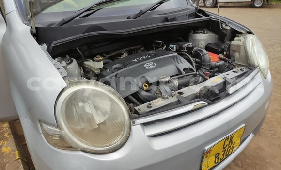 Nunua Ilio tumika Toyota Sienta Silver Gari ndani ya Blantyre nchini Malawi Nunua Ilio tumika Toyota Sienta Silver Gari ndani ya Blantyre nchini Malawi