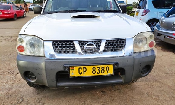 Nunua Ilio tumika Nissan Hardbody White Gari ndani ya Blantyre nchini Malawi Nunua Ilio tumika Nissan Hardbody White Gari ndani ya Blantyre nchini Malawi