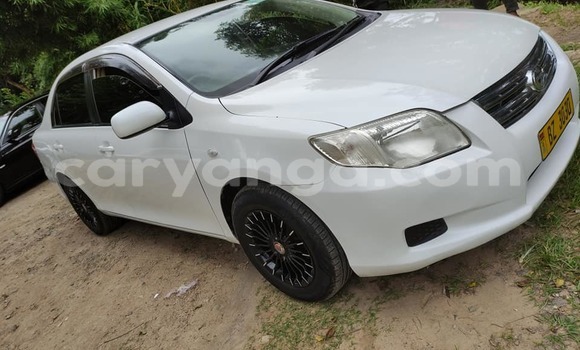 Nunua Ilio tumika Toyota Axio White Gari ndani ya Blantyre nchini Malawi Nunua Ilio tumika Toyota Axio White Gari ndani ya Blantyre nchini Malawi