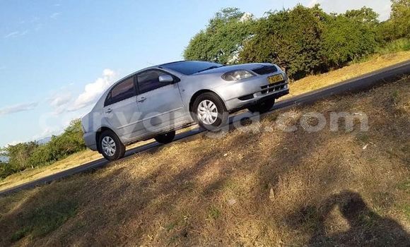 Nunua Ilio tumika Toyota Corolla Silver Gari ndani ya Blantyre nchini Malawi Nunua Ilio tumika Toyota Corolla Silver Gari ndani ya Blantyre nchini Malawi