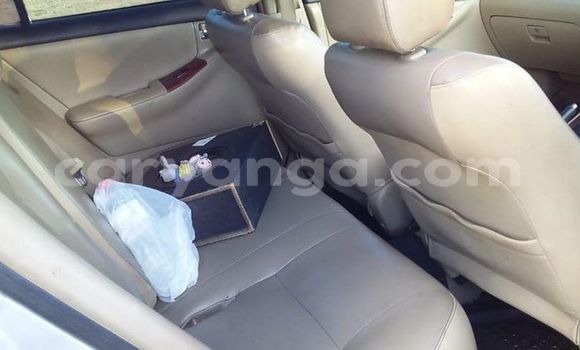 Nunua Ilio tumika Toyota Corolla Silver Gari ndani ya Blantyre nchini Malawi Nunua Ilio tumika Toyota Corolla Silver Gari ndani ya Blantyre nchini Malawi