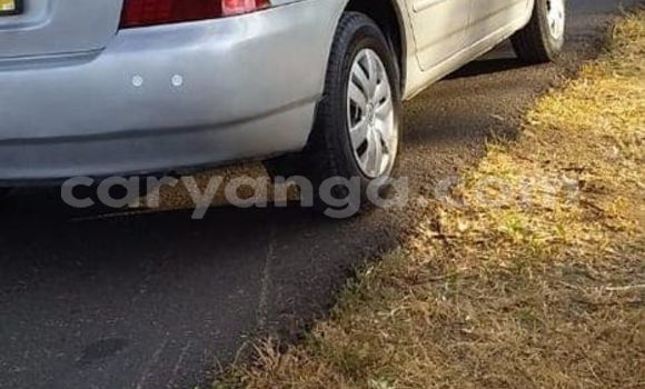 Nunua Ilio tumika Toyota Corolla Silver Gari ndani ya Blantyre nchini Malawi Nunua Ilio tumika Toyota Corolla Silver Gari ndani ya Blantyre nchini Malawi