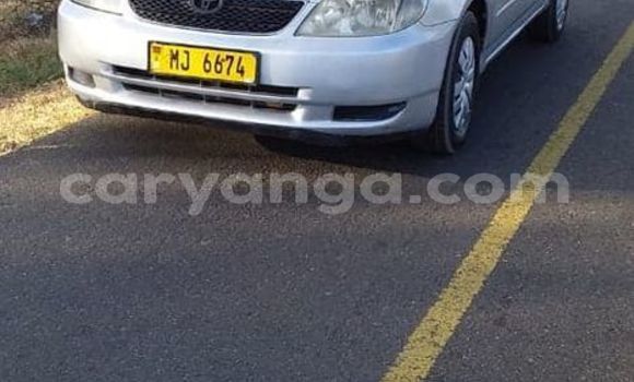Nunua Ilio tumika Toyota Corolla Silver Gari ndani ya Blantyre nchini Malawi Nunua Ilio tumika Toyota Corolla Silver Gari ndani ya Blantyre nchini Malawi