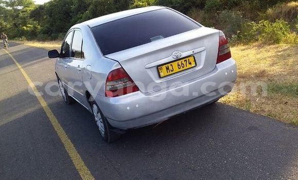 Nunua Ilio tumika Toyota Corolla Silver Gari ndani ya Blantyre nchini Malawi Nunua Ilio tumika Toyota Corolla Silver Gari ndani ya Blantyre nchini Malawi