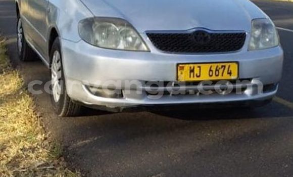 Nunua Ilio tumika Toyota Corolla Silver Gari ndani ya Blantyre nchini Malawi Nunua Ilio tumika Toyota Corolla Silver Gari ndani ya Blantyre nchini Malawi