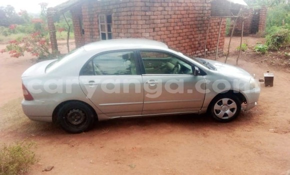 Nunua Ilio tumika Toyota Corolla Silver Gari ndani ya Blantyre nchini Malawi Nunua Ilio tumika Toyota Corolla Silver Gari ndani ya Blantyre nchini Malawi