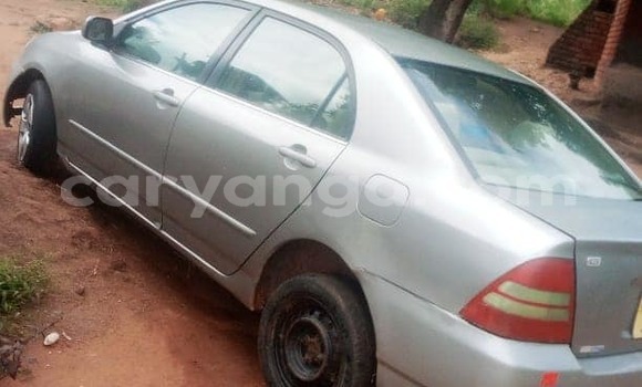 Nunua Ilio tumika Toyota Corolla Silver Gari ndani ya Blantyre nchini Malawi Nunua Ilio tumika Toyota Corolla Silver Gari ndani ya Blantyre nchini Malawi