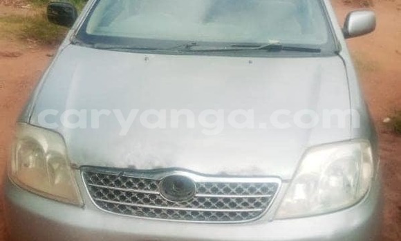 Nunua Ilio tumika Toyota Corolla Silver Gari ndani ya Blantyre nchini Malawi Nunua Ilio tumika Toyota Corolla Silver Gari ndani ya Blantyre nchini Malawi