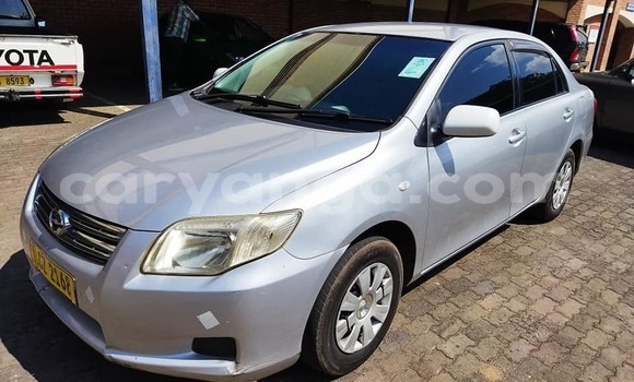Nunua Ilio tumika Toyota Axio Silver Gari ndani ya Blantyre nchini Malawi Nunua Ilio tumika Toyota Axio Silver Gari ndani ya Blantyre nchini Malawi