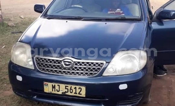 Nunua Ilio tumika Toyota Corolla Blue Gari ndani ya Blantyre nchini Malawi Nunua Ilio tumika Toyota Corolla Blue Gari ndani ya Blantyre nchini Malawi