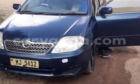 Nunua Ilio tumika Toyota Corolla Blue Gari ndani ya Blantyre nchini Malawi Nunua Ilio tumika Toyota Corolla Blue Gari ndani ya Blantyre nchini Malawi