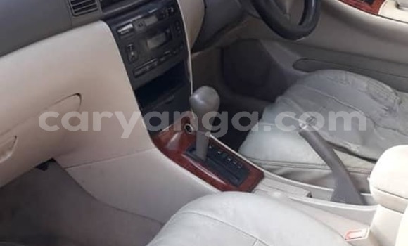 Nunua Ilio tumika Toyota Corolla Blue Gari ndani ya Blantyre nchini Malawi Nunua Ilio tumika Toyota Corolla Blue Gari ndani ya Blantyre nchini Malawi