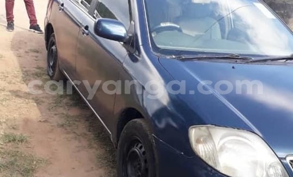 Nunua Ilio tumika Toyota Corolla Blue Gari ndani ya Blantyre nchini Malawi Nunua Ilio tumika Toyota Corolla Blue Gari ndani ya Blantyre nchini Malawi