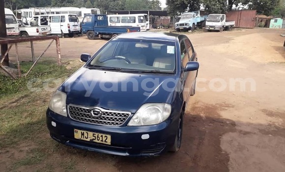 Nunua Ilio tumika Toyota Corolla Blue Gari ndani ya Blantyre nchini Malawi Nunua Ilio tumika Toyota Corolla Blue Gari ndani ya Blantyre nchini Malawi