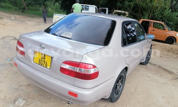 Nunua Ilio tumika Toyota Corolla Beige Gari ndani ya Blantyre nchini Malawi Nunua Ilio tumika Toyota Corolla Beige Gari ndani ya Blantyre nchini Malawi