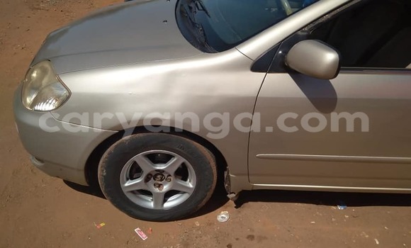 Nunua Ilio tumika Toyota Corolla Silver Gari ndani ya Blantyre nchini Malawi Nunua Ilio tumika Toyota Corolla Silver Gari ndani ya Blantyre nchini Malawi
