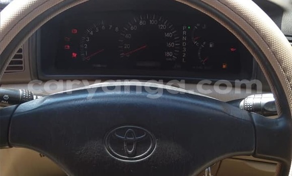 Nunua Ilio tumika Toyota Corolla Silver Gari ndani ya Blantyre nchini Malawi Nunua Ilio tumika Toyota Corolla Silver Gari ndani ya Blantyre nchini Malawi