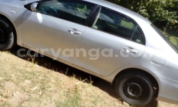 Buy Used Toyota Axio Silver Car in Blantyre in Malawi Buy Used Toyota Axio Silver Car in Blantyre in Malawi