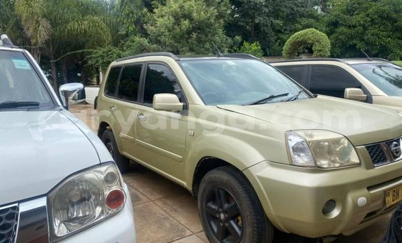 Buy Used Nissan X–Trail Beige Car in Blantyre in Malawi Buy Used Nissan X–Trail Beige Car in Blantyre in Malawi