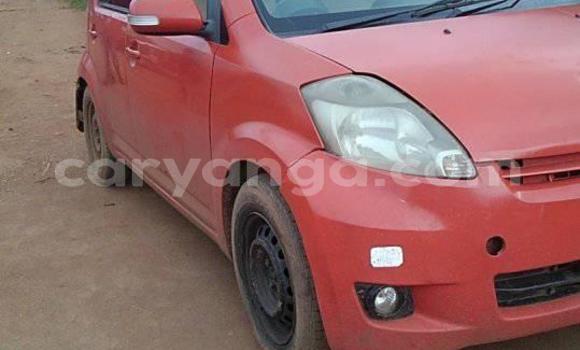Buy Used Toyota Passo Red Car in Blantyre in Malawi