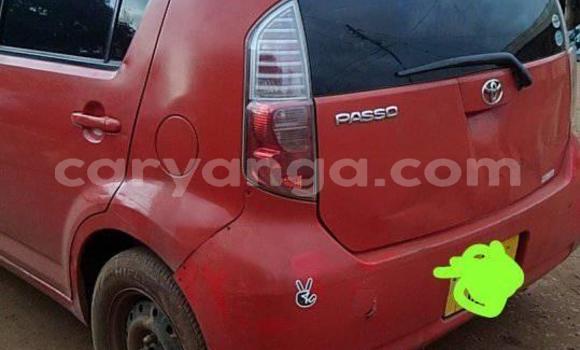 Buy Used Toyota Passo Red Car in Blantyre in Malawi Buy Used Toyota Passo Red Car in Blantyre in Malawi