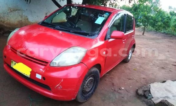 Buy Used Toyota Passo Red Car in Blantyre in Malawi Buy Used Toyota Passo Red Car in Blantyre in Malawi