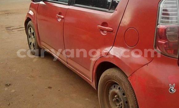 Buy Used Toyota Passo Red Car in Blantyre in Malawi Buy Used Toyota Passo Red Car in Blantyre in Malawi