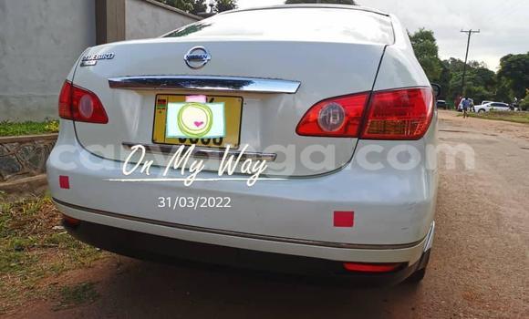 Buy Used Nissan Bluebird White Car in Blantyre in Malawi Buy Used Nissan Bluebird White Car in Blantyre in Malawi