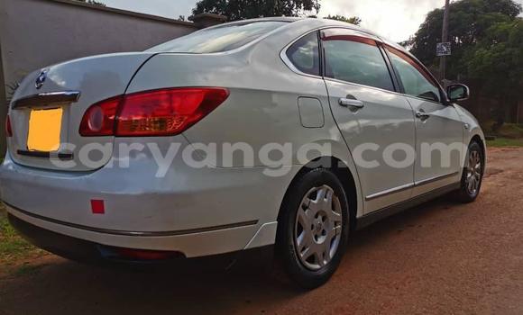 Buy Used Nissan Bluebird White Car in Blantyre in Malawi Buy Used Nissan Bluebird White Car in Blantyre in Malawi