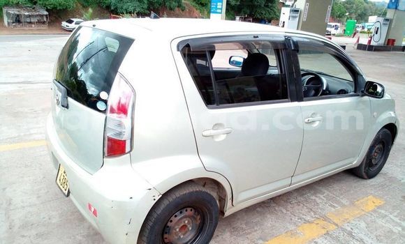 Buy Used Toyota Passo Silver Car in Blantyre in Malawi Buy Used Toyota Passo Silver Car in Blantyre in Malawi