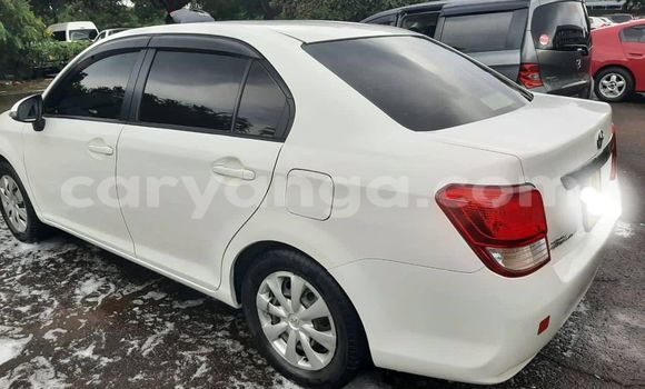 Buy Used Toyota Axio White Car in Blantyre in Malawi Buy Used Toyota Axio White Car in Blantyre in Malawi