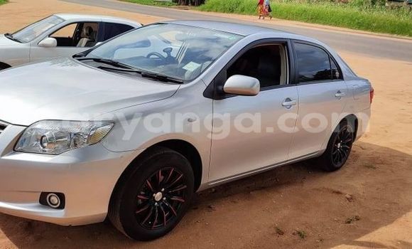 Buy Used Toyota Axio Silver Car in Blantyre in Malawi Buy Used Toyota Axio Silver Car in Blantyre in Malawi