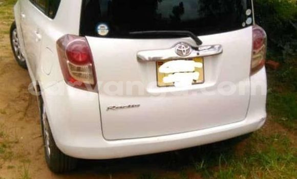 Buy Used Toyota Ractis White Car in Blantyre in Malawi Buy Used Toyota Ractis White Car in Blantyre in Malawi