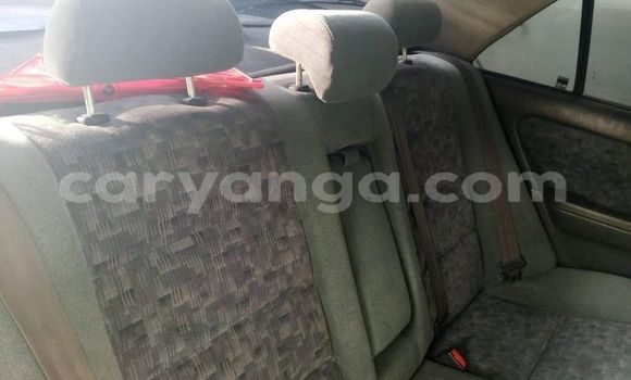 Buy Used Toyota Carina Silver Car in Blantyre in Malawi Buy Used Toyota Carina Silver Car in Blantyre in Malawi