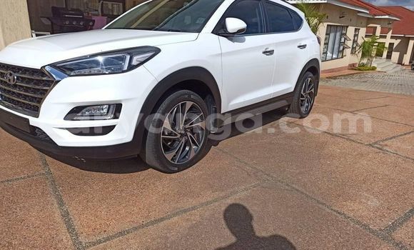Buy Used Hyundai Tucson White Car in Blantyre in Malawi Buy Used Hyundai Tucson White Car in Blantyre in Malawi