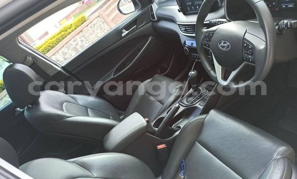 Buy Used Hyundai Tucson White Car in Blantyre in Malawi Buy Used Hyundai Tucson White Car in Blantyre in Malawi