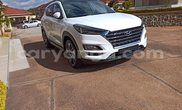 Buy Used Hyundai Tucson White Car in Blantyre in Malawi Buy Used Hyundai Tucson White Car in Blantyre in Malawi