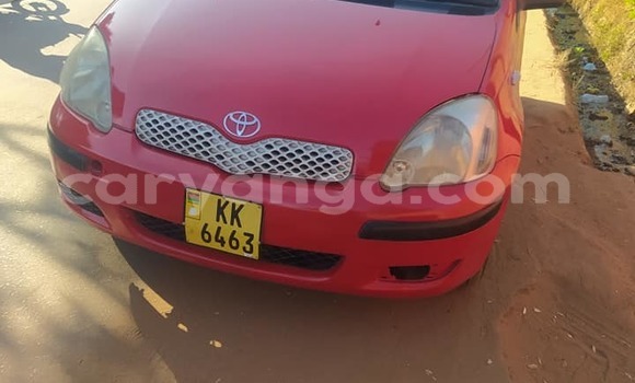 Buy Used Toyota Yaris Red Car in Lilongwe in Malawi Buy Used Toyota Yaris Red Car in Lilongwe in Malawi