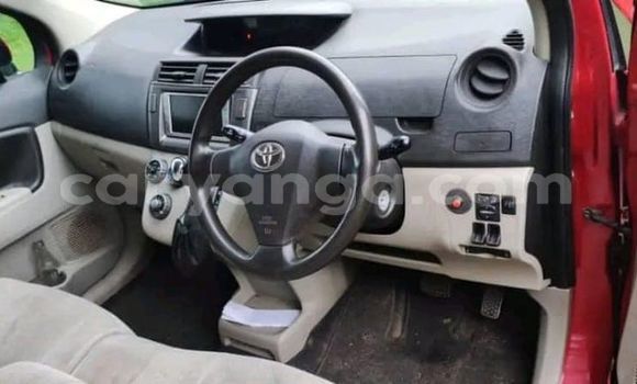 Buy Used Toyota Passo Red Car in Lilongwe in Malawi Buy Used Toyota Passo Red Car in Lilongwe in Malawi