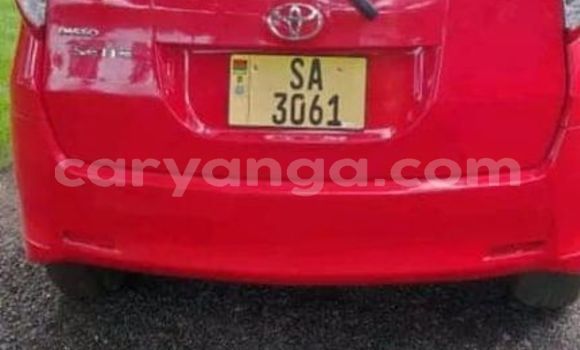 Buy Used Toyota Passo Red Car in Lilongwe in Malawi Buy Used Toyota Passo Red Car in Lilongwe in Malawi