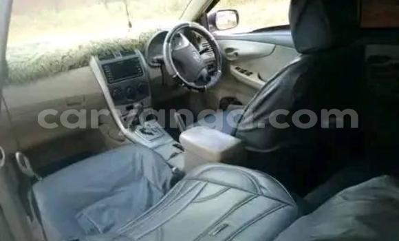 Nunua Ilio tumika Toyota Axio White Gari ndani ya Lilongwe nchini Malawi Nunua Ilio tumika Toyota Axio White Gari ndani ya Lilongwe nchini Malawi